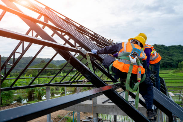 Best Roof Gutter Cleaning  in Jasper, GA